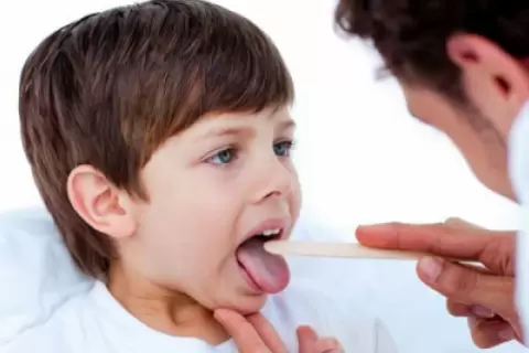 Bademcik ve Geniz Eti