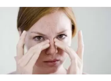 Koku Alanı Endoskopisi