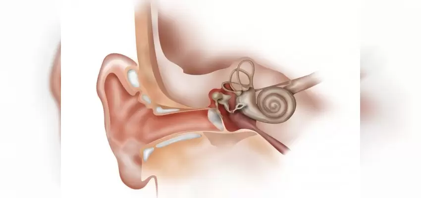 Ostaki Tupu Tikanikligi Ameliyati Prof Dr Aytug Altundag