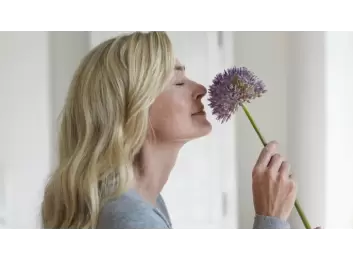 Koku Bozukluğu Nedenleri