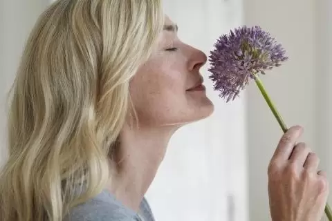 Koku Bozukluğu Nedenleri