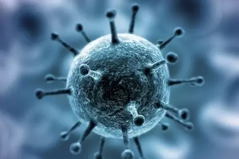 Coronavirus Son Durum