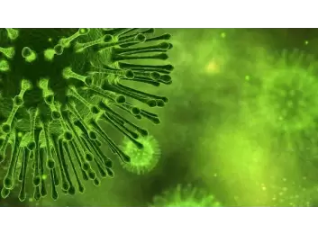 Virüslerden Korunmak İçin Ne Yapmalı