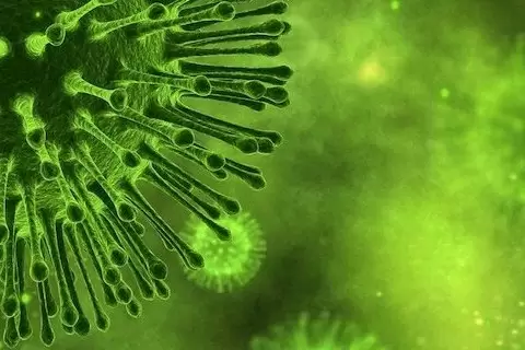 Virüslerden Korunmak İçin Ne Yapmalı