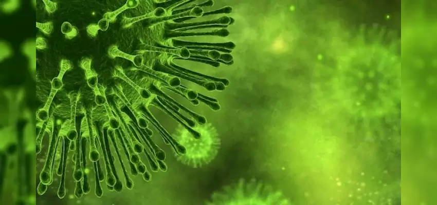 Virüslerden Korunmak İçin Ne Yapmalı