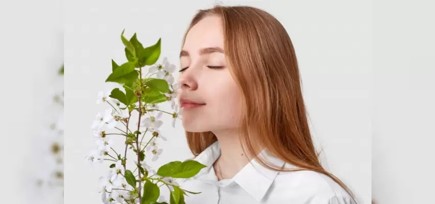 Koku Alamıyorum ne Yapmalıyım?