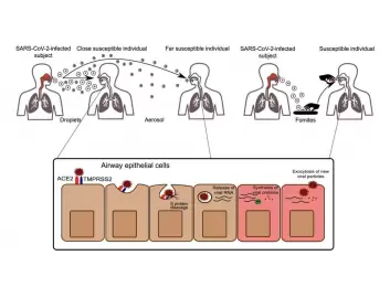 prof-dr-aytug-altundag-mukozal-bagisiklama-nin-onemi
