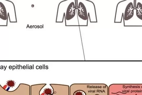 prof-dr-aytug-altundag-mukozal-bagisiklama-nin-onemi